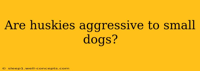 Are huskies aggressive to small dogs?