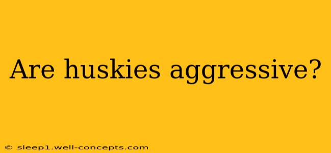 Are huskies aggressive?