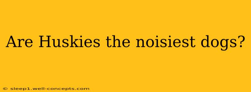 Are Huskies the noisiest dogs?