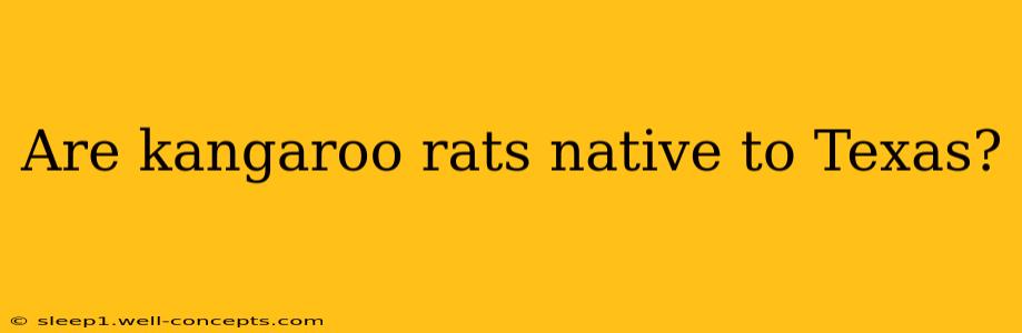 Are kangaroo rats native to Texas?