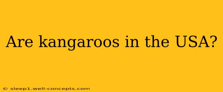 Are kangaroos in the USA?