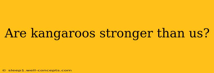 Are kangaroos stronger than us?