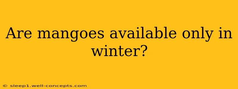 Are mangoes available only in winter?