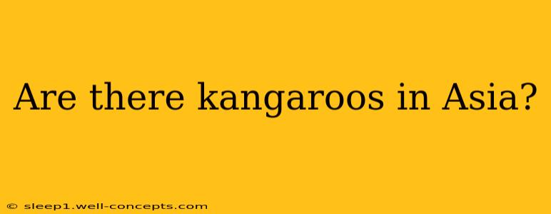 Are there kangaroos in Asia?