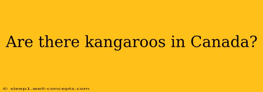 Are there kangaroos in Canada?