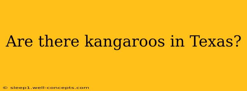 Are there kangaroos in Texas?