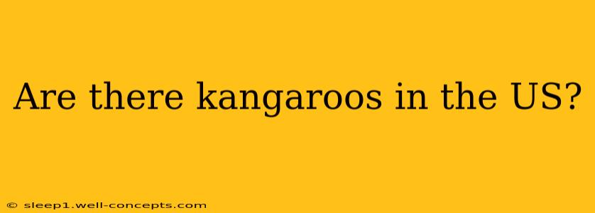 Are there kangaroos in the US?