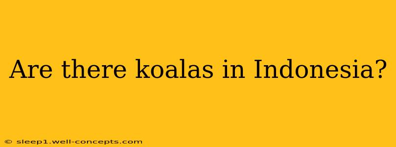 Are there koalas in Indonesia?