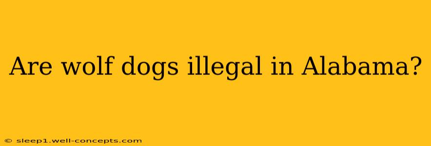 Are wolf dogs illegal in Alabama?