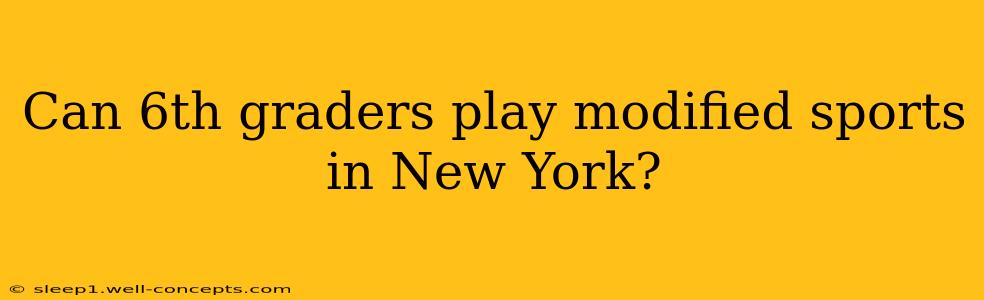 Can 6th graders play modified sports in New York?