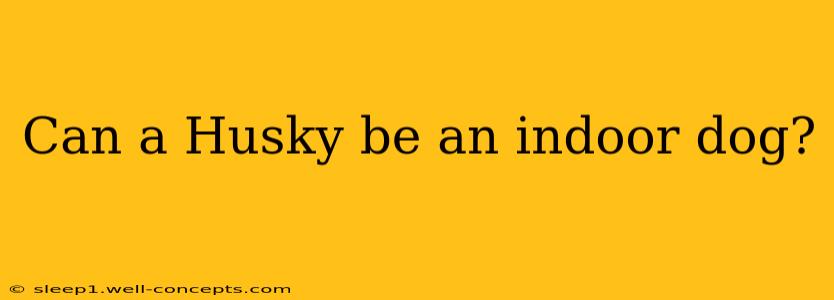 Can a Husky be an indoor dog?