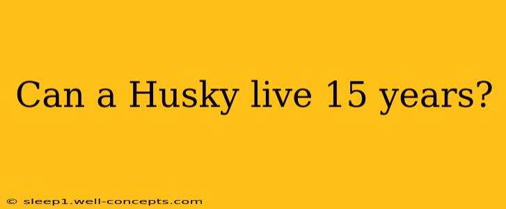 Can a Husky live 15 years?