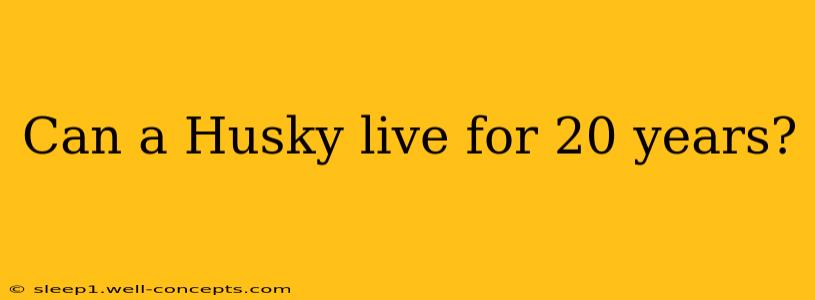 Can a Husky live for 20 years?