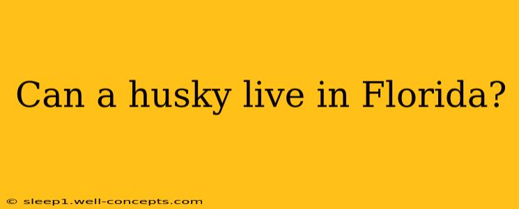 Can a husky live in Florida?