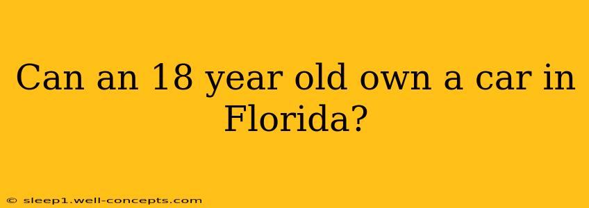 Can an 18 year old own a car in Florida?