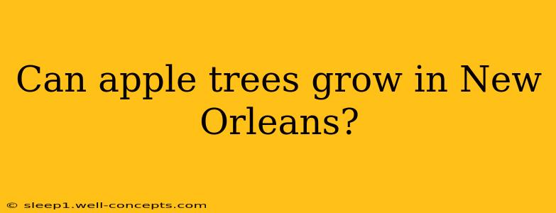 Can apple trees grow in New Orleans?