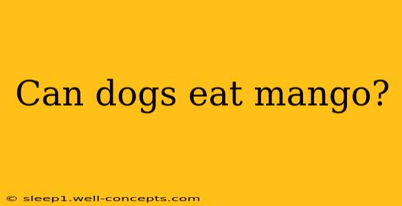 Can dogs eat mango?