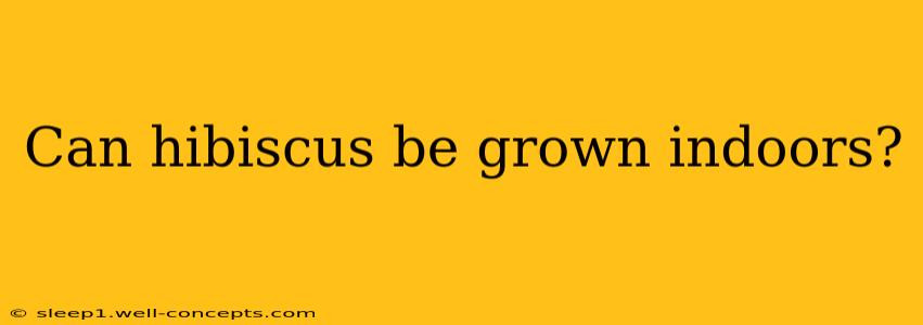 Can hibiscus be grown indoors?