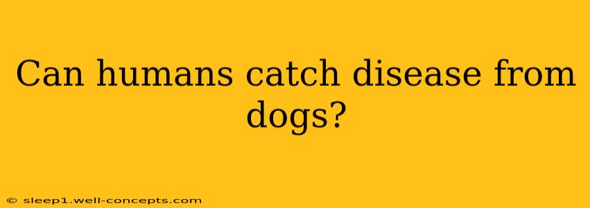 Can humans catch disease from dogs?