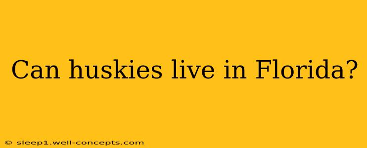 Can huskies live in Florida?