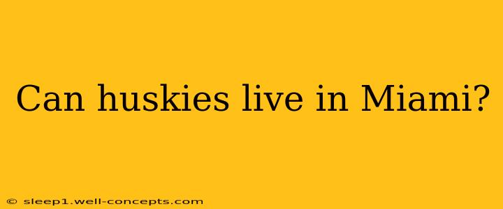 Can huskies live in Miami?