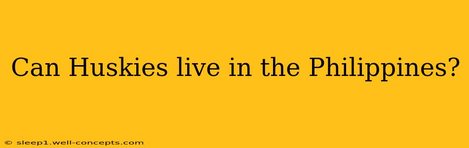 Can Huskies live in the Philippines?