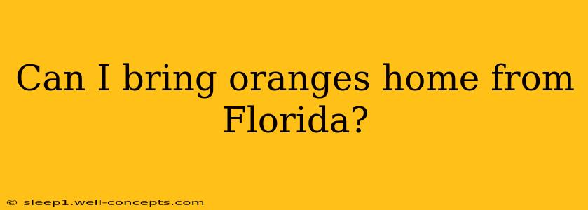 Can I bring oranges home from Florida?