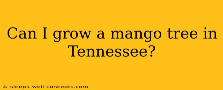 Can I grow a mango tree in Tennessee?