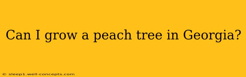 Can I grow a peach tree in Georgia?