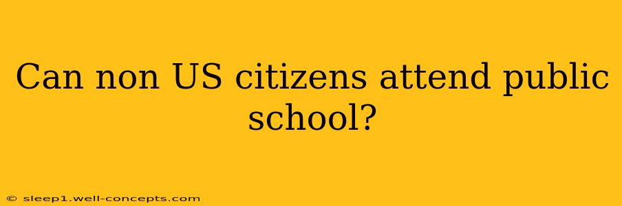 Can non US citizens attend public school?