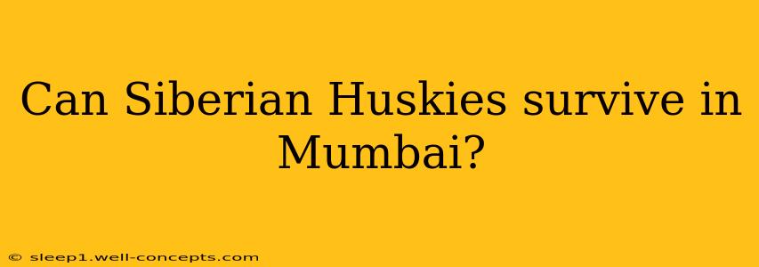 Can Siberian Huskies survive in Mumbai?