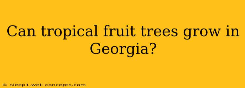 Can tropical fruit trees grow in Georgia?