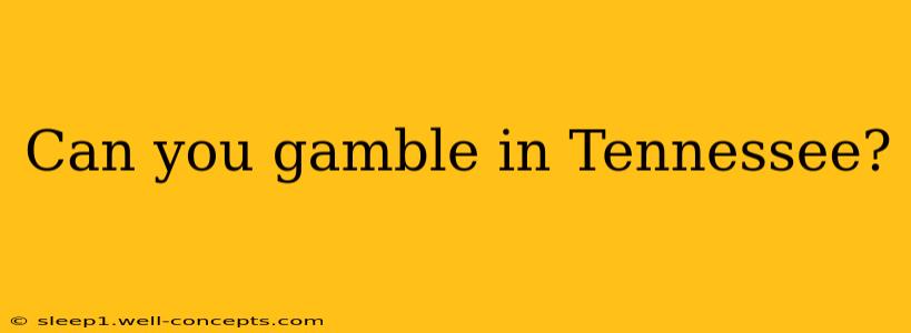 Can you gamble in Tennessee?