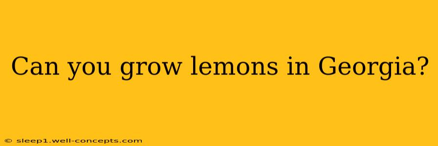 Can you grow lemons in Georgia?