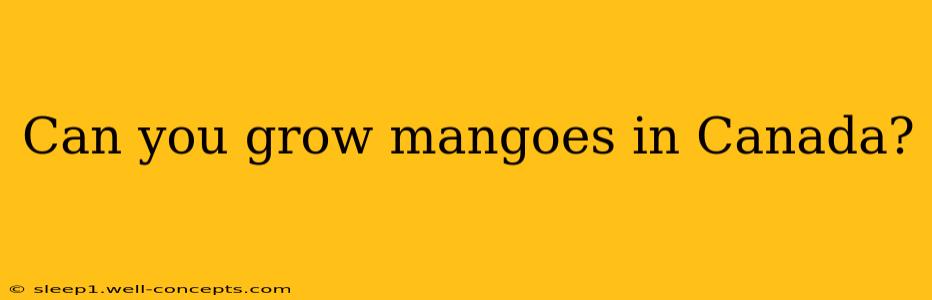 Can you grow mangoes in Canada?