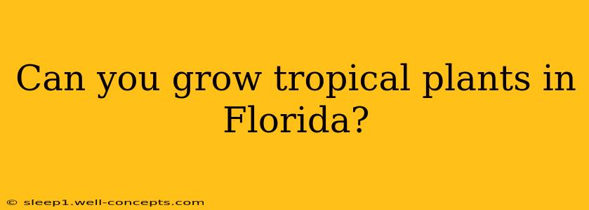 Can you grow tropical plants in Florida?