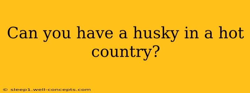 Can you have a husky in a hot country?