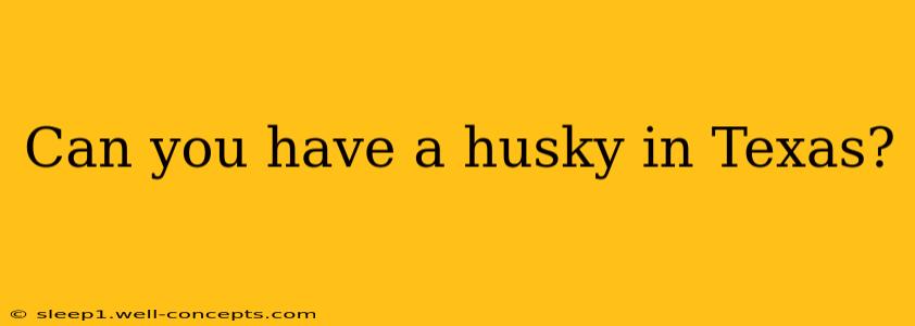 Can you have a husky in Texas?