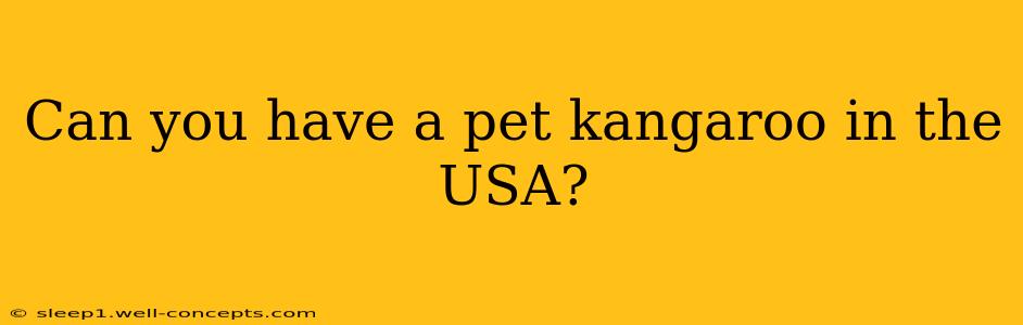 Can you have a pet kangaroo in the USA?