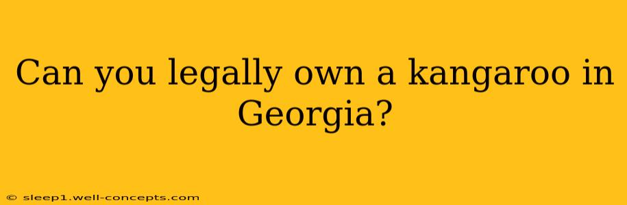 Can you legally own a kangaroo in Georgia?