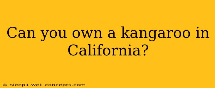 Can you own a kangaroo in California?