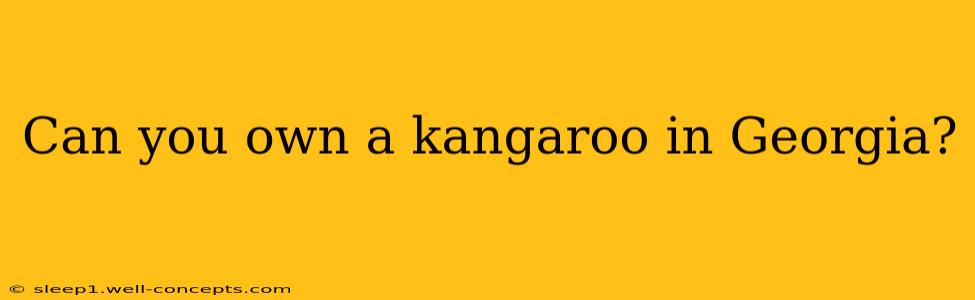 Can you own a kangaroo in Georgia?