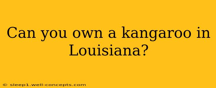 Can you own a kangaroo in Louisiana?