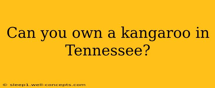 Can you own a kangaroo in Tennessee?