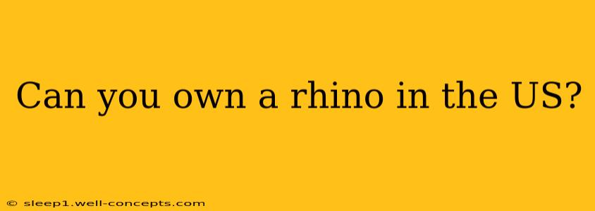 Can you own a rhino in the US?