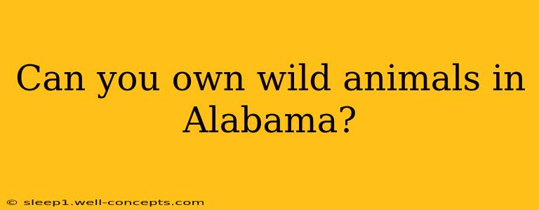 Can you own wild animals in Alabama?