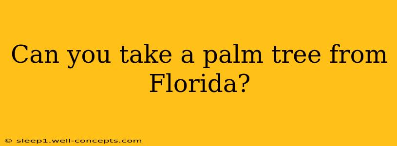 Can you take a palm tree from Florida?