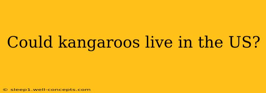 Could kangaroos live in the US?