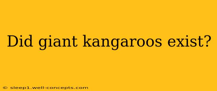 Did giant kangaroos exist?