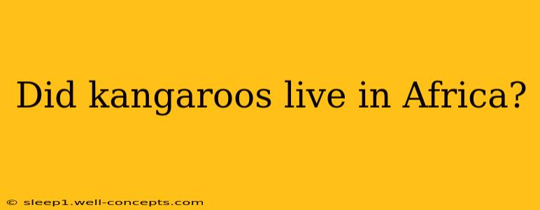 Did kangaroos live in Africa?